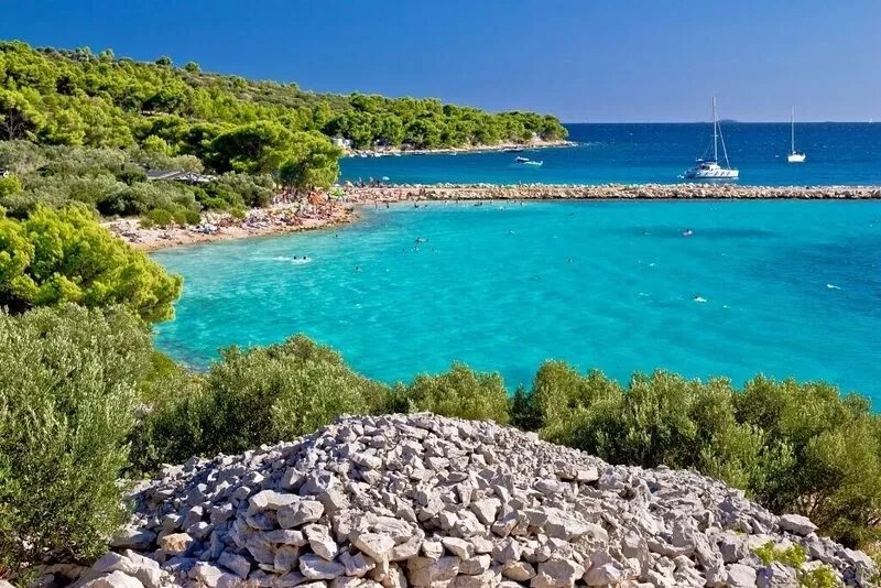 Villa Pina-TOP **** Apartment Evitos by the sea in Tisno / Dalmatia
