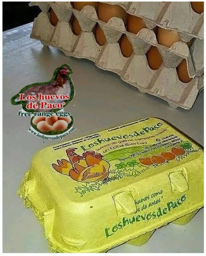 Granja Los huevos de Paco