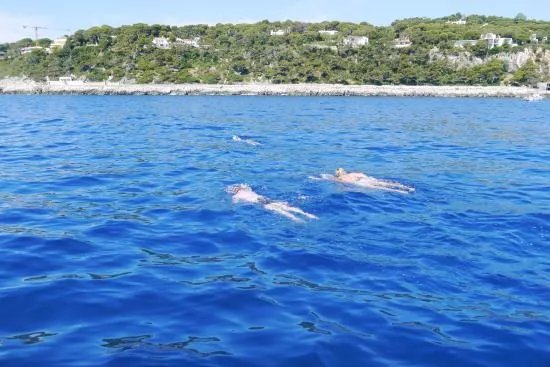 Swim The Riviera