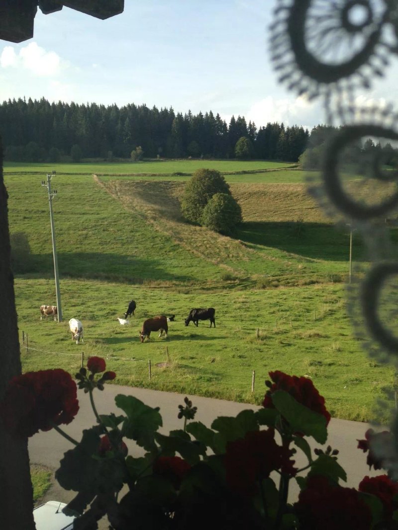 Gasthaus Pension Zum Loewen