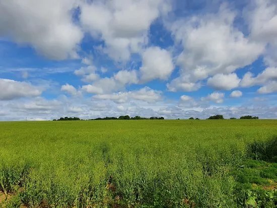 Lavenham To Long Melford Rail Walk