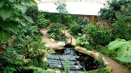 Butterfly Park of Benalmadena