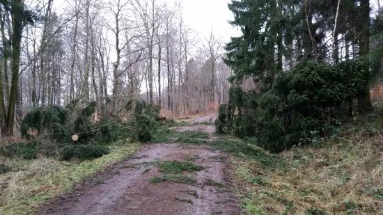 Naturschutzgebiet "Reitlingstal"