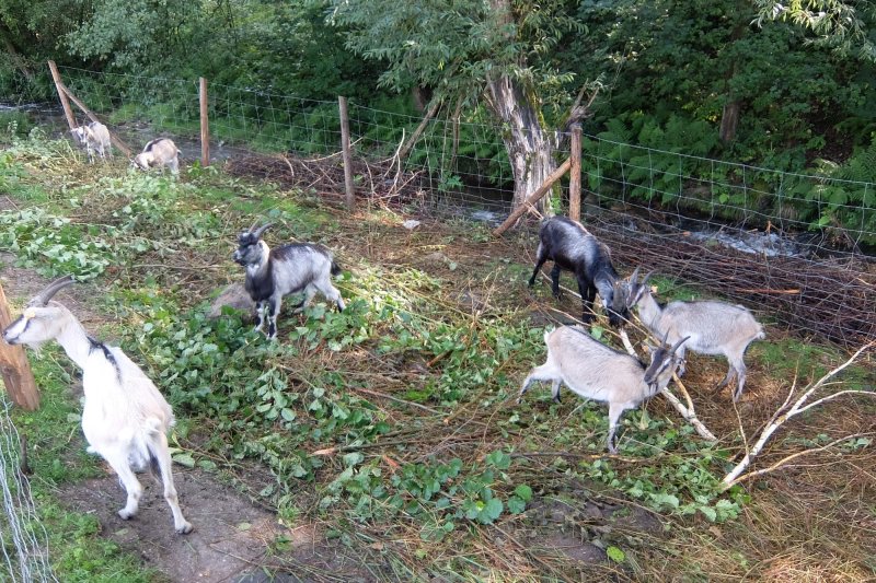 Agroturystyka Ranczo Kruszynki