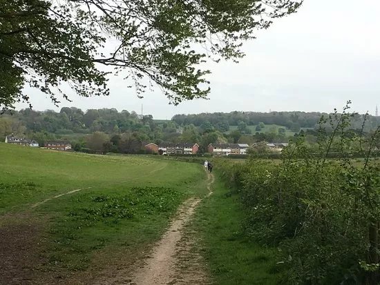 Chiltern Walks