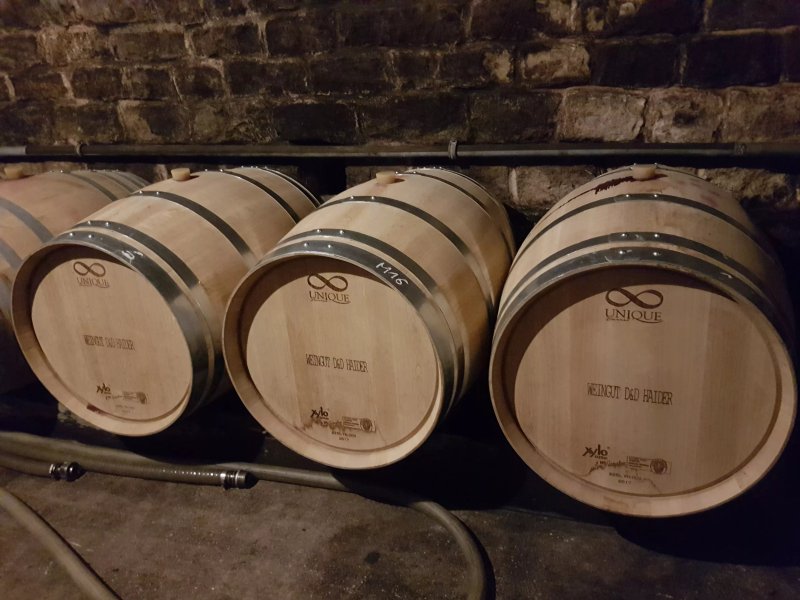 Weingut & Gsstehaus D&D Haider