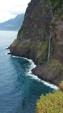 Flora Travel Madeira - Day Tours & Walks
