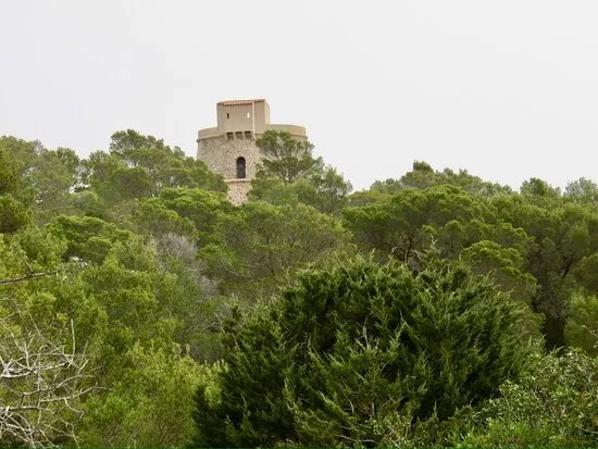 Torre de Campanitx / Torre d’en Valls