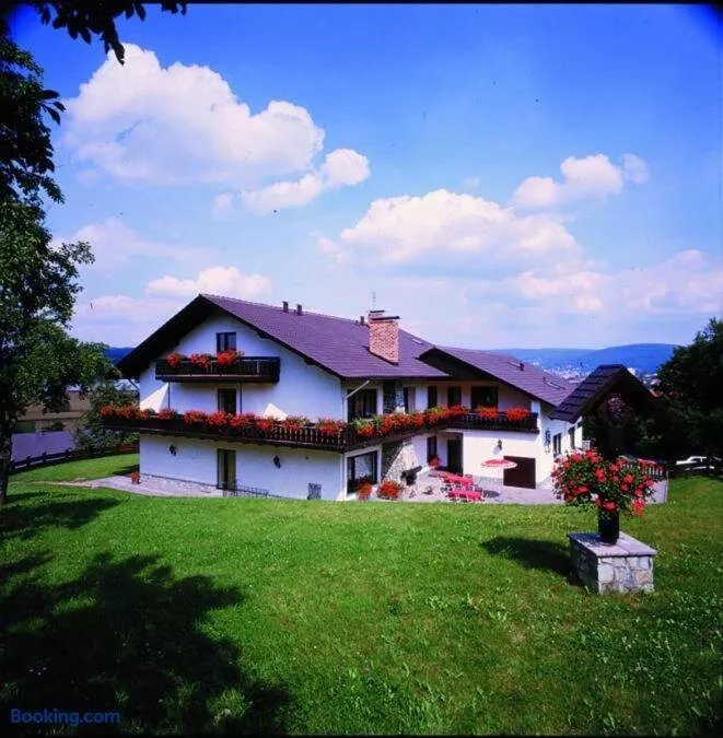 Hotel Bergwiesen