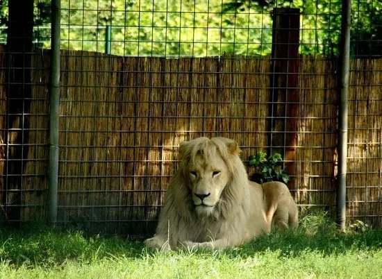 Tier Und Freizeitpark Thuele GmbH