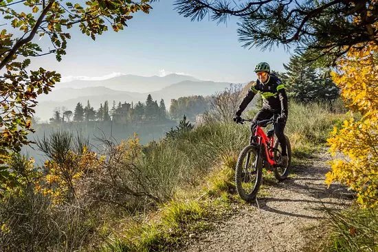 Urbino e-Bike Tour