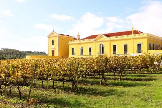 Quinta do Gradil Wine Tourism