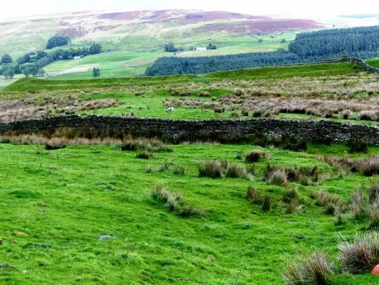 Epiacum Roman Fort