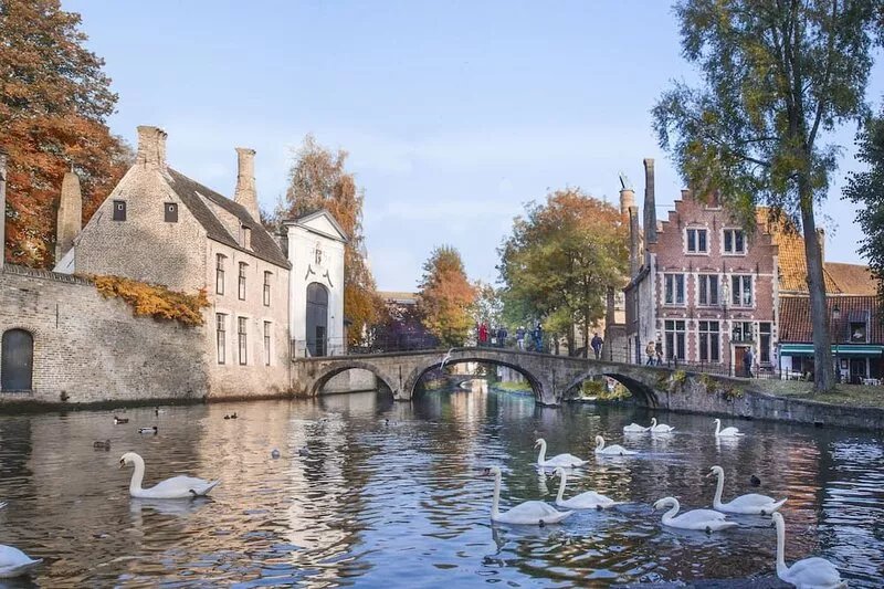 House Barlandus - cozy house 2.8 km from the center of Bruges - free parking