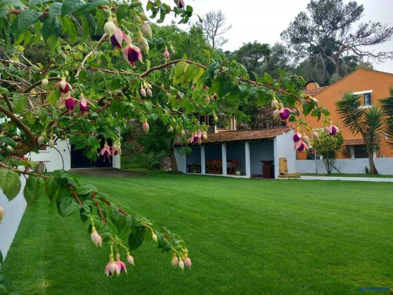 Villa in Sintra - Casa da Penha Ferrim