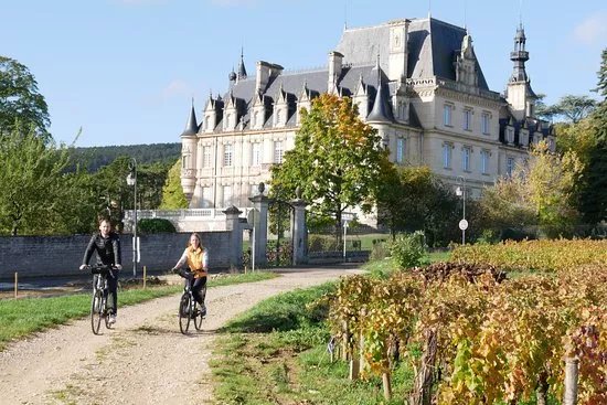 Burgundy Bike
