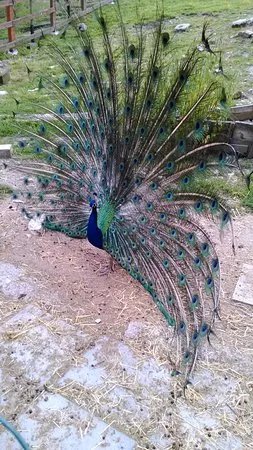 Ecoparco di Vezzano