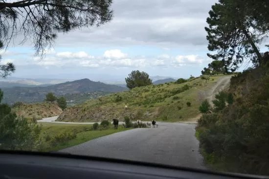 Aventurate Sierra de las Nieves