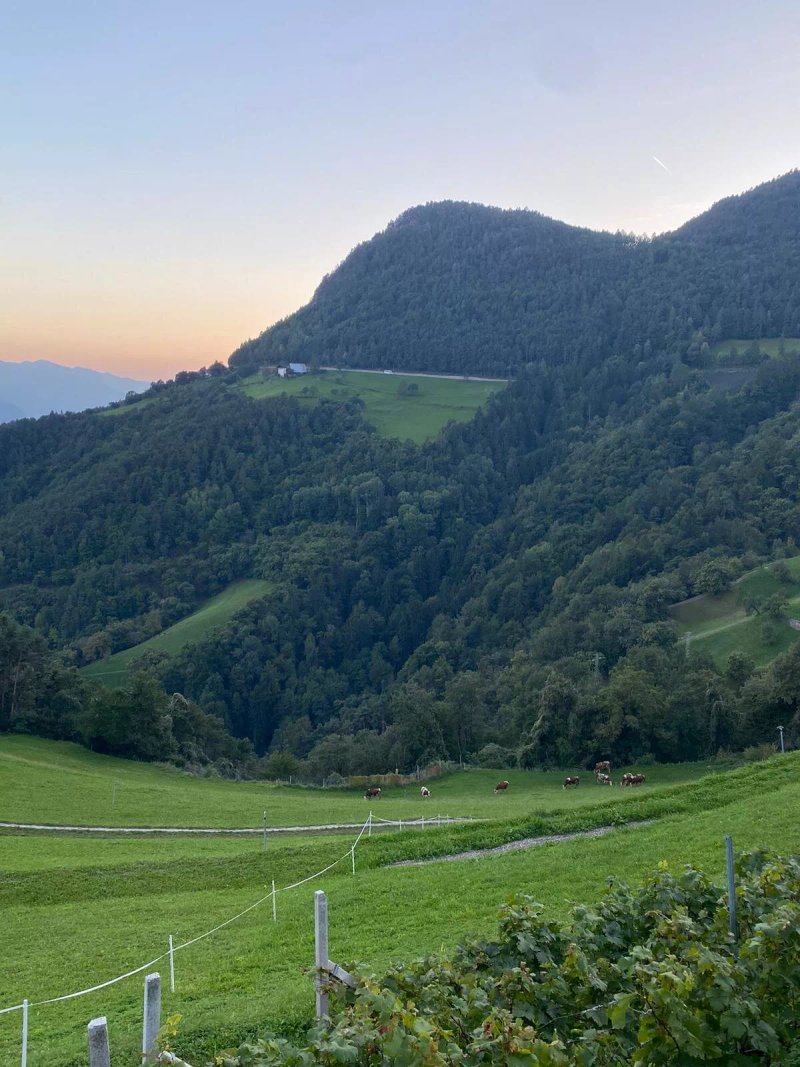 Ferienwohnungen Unterkoflhof - Deutschnofen
