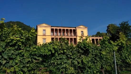 Villa Ludwigshoehe
