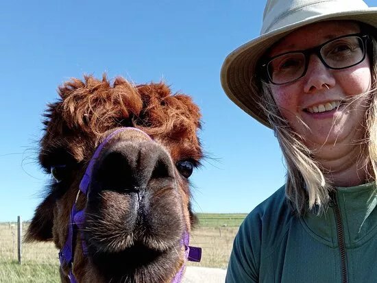 Alpacan - Alpacas of the Outer Hebrides