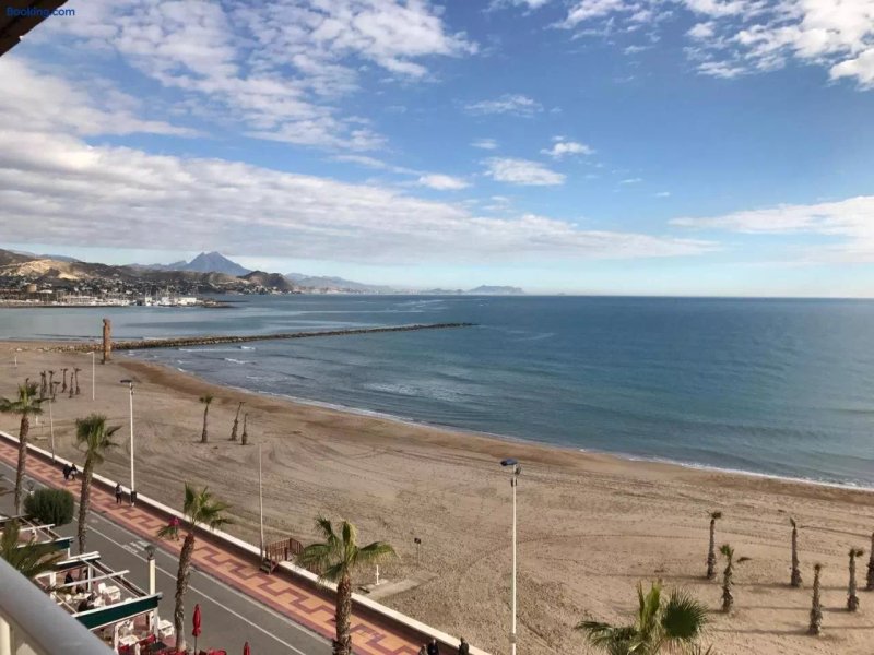 Apartments Campello