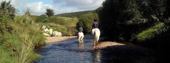 Hollywood Horse and Pony Trekking Centre