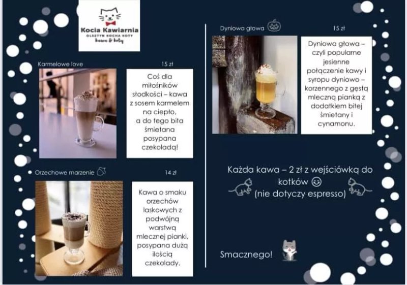 Kocia Kawiarnia Olsztyn Kocha Koty