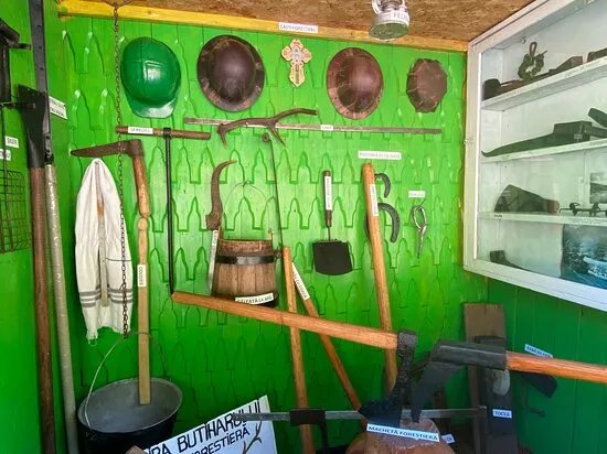 Muzeul Radacinilor (Museum of Roots)