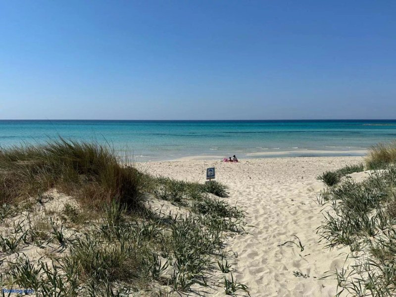 B&B Lomi Lomi Luxury Room & Wellness Salento