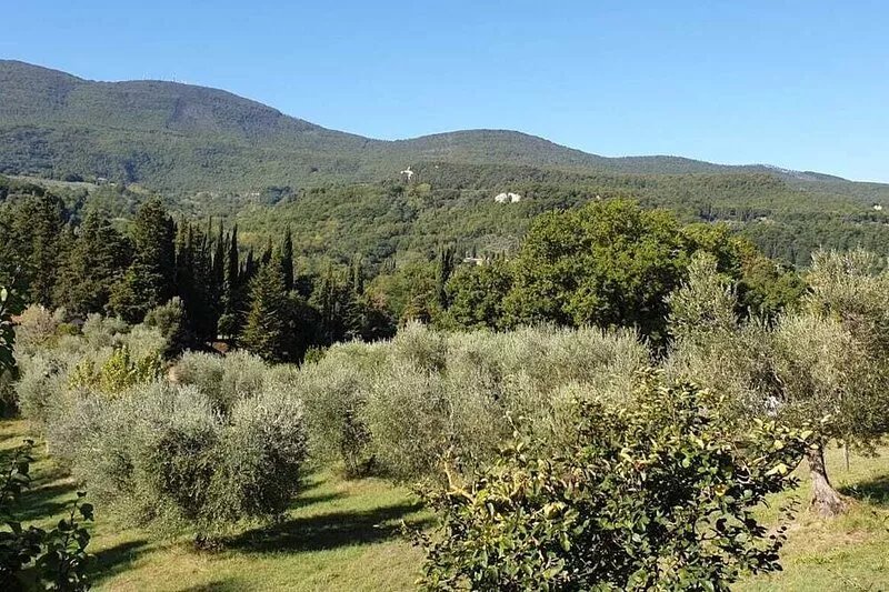 Delightful secluded Tuscan farmhouse with pool, near the hilltop town of Cetona.