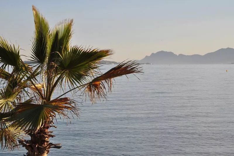 Stunning villa near beach and restaurants: sleeps 15