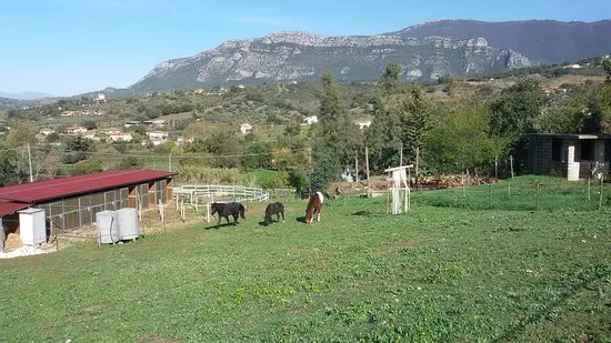 Azienda Agricola Maglio