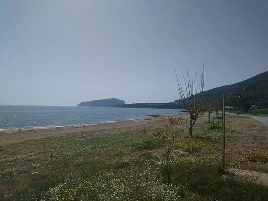 Paralia Pori