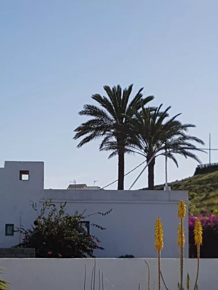 Finca Fajardo La Vegueta