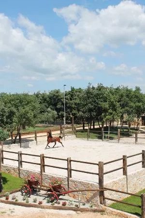 Konjicki klub Jakici Horse Riding