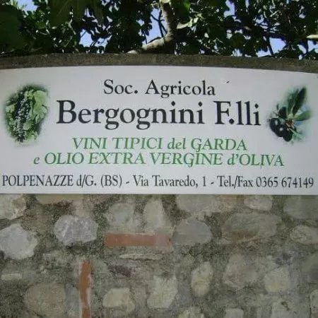 Societa Agricola Bergognini Fratelli