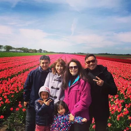 Amsterdam Tulips Tour