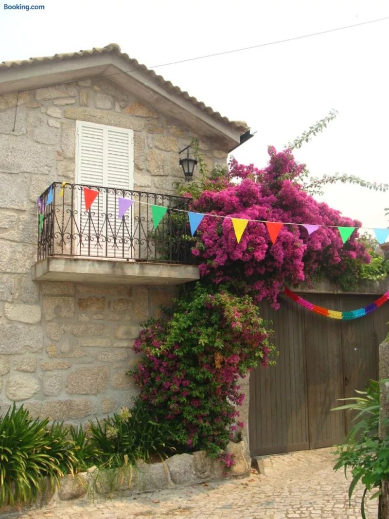 Casa Das Magnolias De Igarei