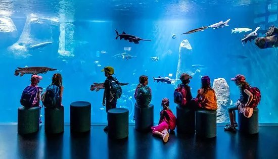 AQUATIS Aquarium Vivarium Lausanne
