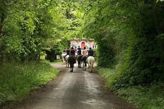 Flowerhill Equestrian Centre