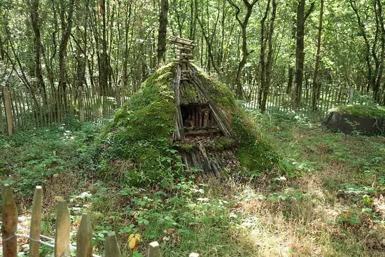 Foret de Grimbosq