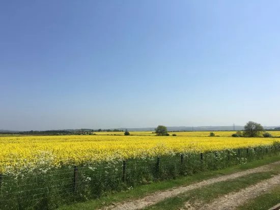 The Vallum