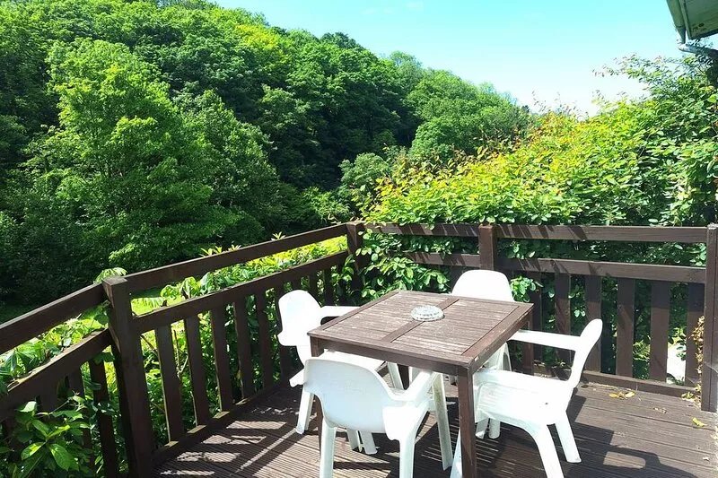 Parada Cottage*Mineshop Holiday Cottages, a woodland stroll to Crackington Haven
