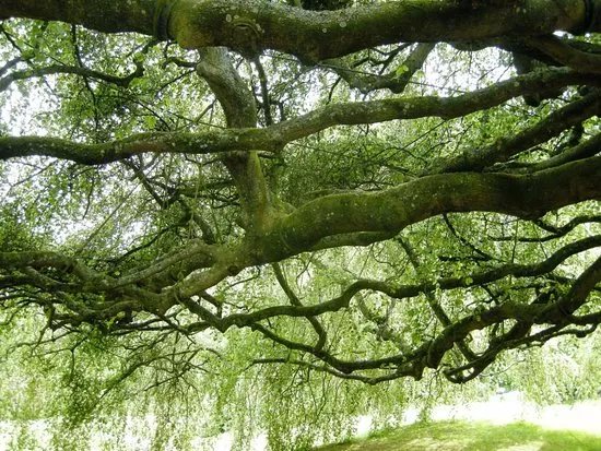 Jardin Public de Bayeux