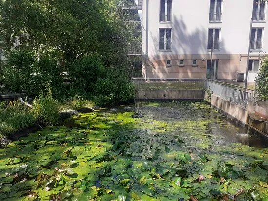 Schlosspark Rockenhausen