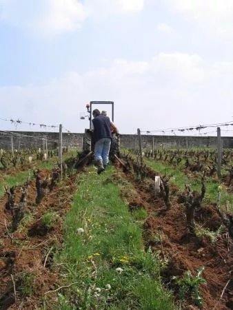 Domaine Champalou