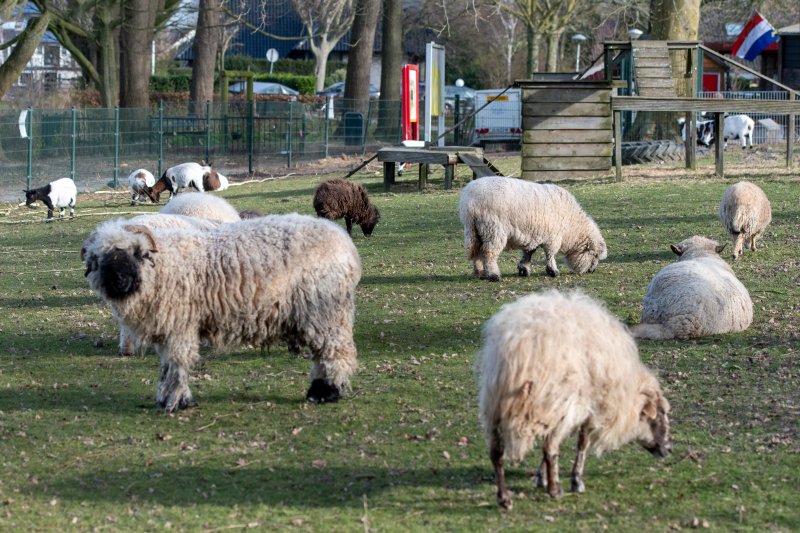 Dierenweide Vleuten