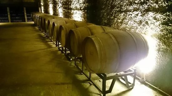 Berlucchi Winery
