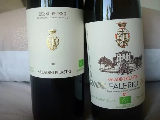 Azienda Agricola Saladini Pilastri